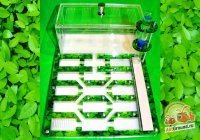 Муравьиная ферма GREEN