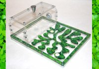 Модуль дополнительный для муравьиная ферма ферма GREEN ver 3