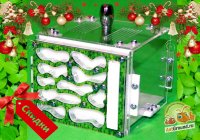 Муравьиная ферма (формикарий) BIG GREEN + муравьи Messor Structor жнецы 2022 г.